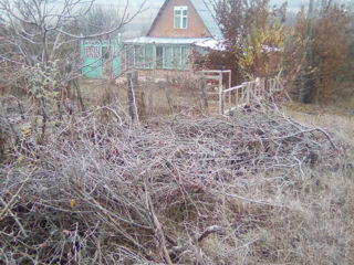 Дача foto 3