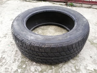 Dunlop 205/55/16