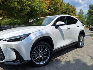 Lexus NX Series foto 3