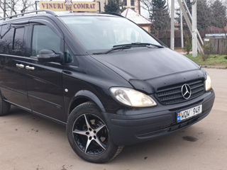 Mercedes Viano foto 8