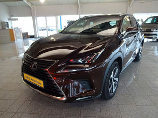 Lexus NX Series