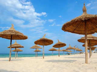 Tunis, oferte fierbinți pentru data de 08 iunie!!!  Cu compania Emirat Travel.