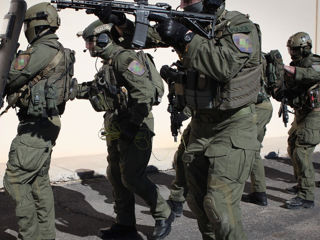 Тактические Штаны G3 Combat pants, ranger green, US foto 9