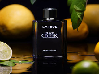 Black Creek for men 100ml foto 3