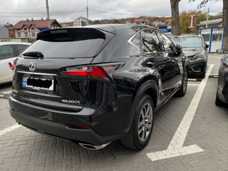 Lexus NX Series