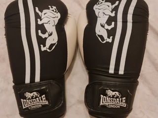 Mănuși de Box 16oz Everlast