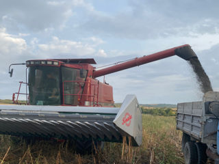 Combina CASE IH 2388 foto 2