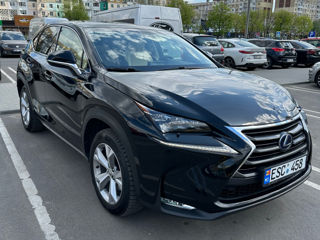 Lexus NX Series