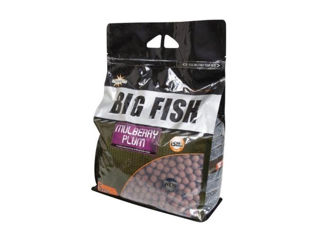 Бойлы Dynamite Baits 5kg (Шелковица и Слива) foto 2