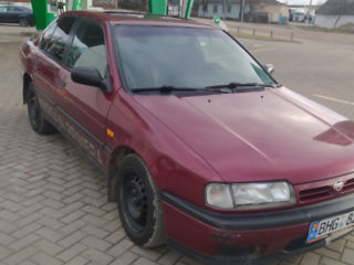 Nissan Primera foto 9