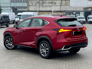 Lexus NX Series foto 3