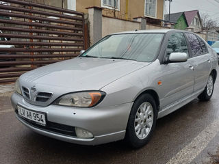 Nissan Primera foto 3