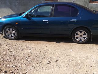 Nissan Primera foto 4