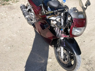 Honda Cbr 600 foto 6