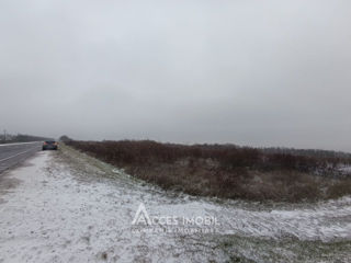 Teren agricol 30 ari! Traseul M5, Drăsliceni! foto 4