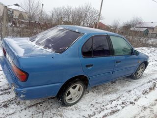 Nissan Primera foto 4