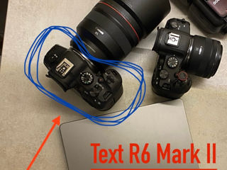 R6 Mark II foto 1