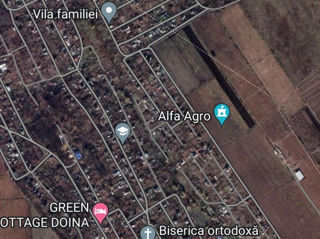 Zona Alfa-Agro teren pomicol suprafata 6 ari