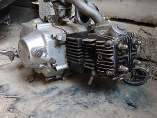 Motor delta 49cc