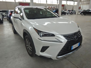 Lexus NX Series