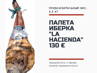 Испанский хамон, (jamon, hamon) foto 9