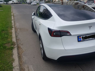 Tesla Model Y foto 4