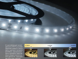 Профессиональная система светодиодных лент 24v ledvance (лед лента). led strip. foto 2