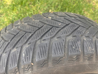 Зима Dunlop 205/55/16 foto 2