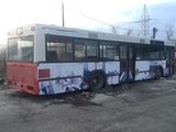 Neoplan foto 3