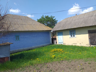 Casa in satul  Popestii  de  Jos  - R-NUL Drochia foto 3