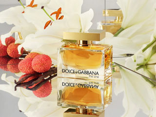 Dolce Gabbana-The one foto 2