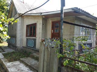 Se vinde casă în s. Brînzeni, r. Edineț / Продается Дом в районе Единец, село Брынзень foto 4