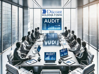 Audit IT Park