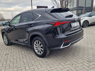 Lexus NX Series foto 3