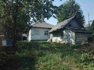 Продается дом в городе Окница. foto 5