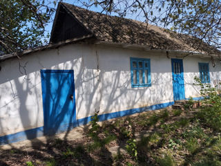Casa in Satul Baraboi r-ul Donduseni foto 5
