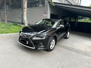 Lexus NX Series