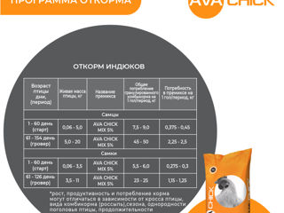 Premix Pentru Îngrășarea Curcanilor Ava Chick Mix 5%. foto 3