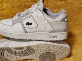 Кеды Белые Мужские Lacoste