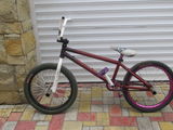 BMX Animal + WeThePeople foto 1