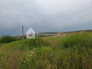 Teren pentru construcție, 7 hectare în satul  Dobrogea, 15 minute de Chișinău. foto 4