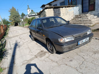 Nissan Sunny foto 9