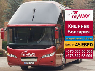 Комфортабельный автобус на Болгарию  - безопасность и комфорт от MyWay foto 4
