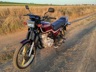 Wolf Motors 125cc foto 5