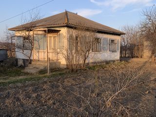 Vind casa in satul Glinjeni r.Falesti foto 1