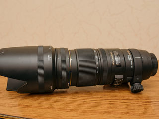 Sigma(Nikon) 70-200mm f2.8 apo ex dg os foto 7