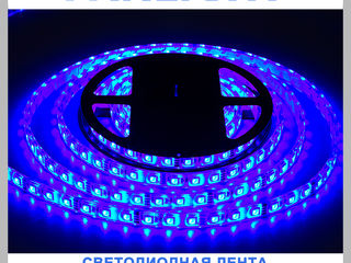 Светодиодная лента 12v, 220V, декоративная светодиодная подсветка, Panlight, освещение LED foto 6