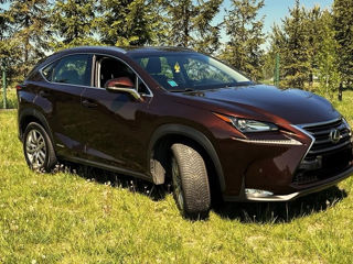 Lexus NX Series foto 5