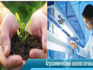 Агрохимический Анализ Почвы Agrochemical Soil Analysis