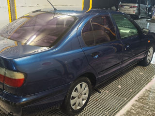 Nissan Primera